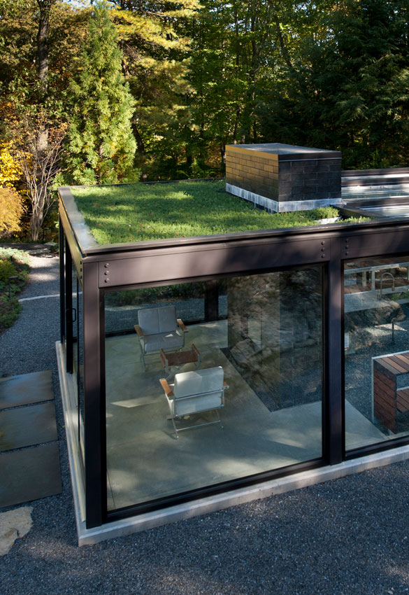 live rooftop on glass and steel greenhouse